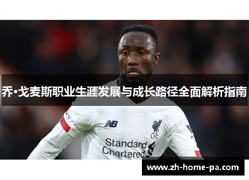 乔·戈麦斯职业生涯发展与成长路径全面解析指南