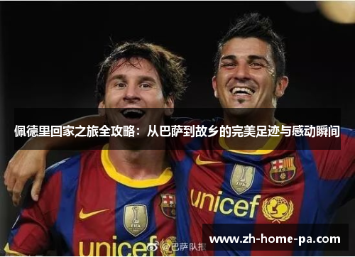 佩德里回家之旅全攻略：从巴萨到故乡的完美足迹与感动瞬间