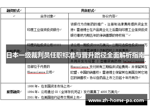日本一级裁判员任职标准与晋升路径全面解析指南