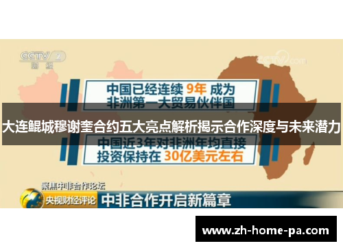 大连鲲城穆谢奎合约五大亮点解析揭示合作深度与未来潜力