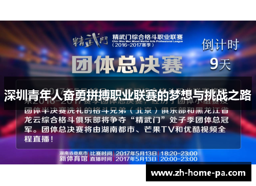 深圳青年人奋勇拼搏职业联赛的梦想与挑战之路
