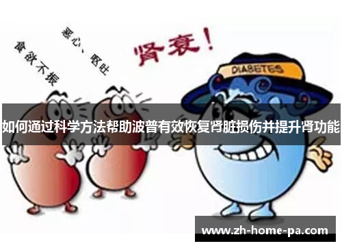 如何通过科学方法帮助波普有效恢复肾脏损伤并提升肾功能