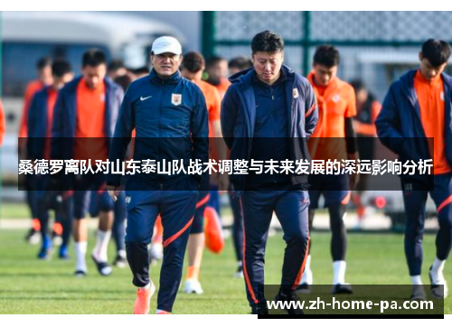 桑德罗离队对山东泰山队战术调整与未来发展的深远影响分析