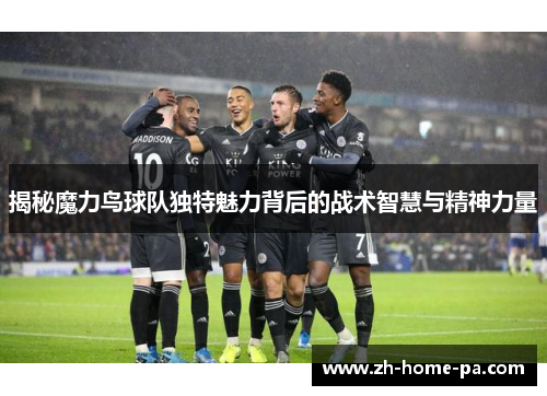 揭秘魔力鸟球队独特魅力背后的战术智慧与精神力量