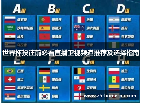 世界杯投注前必看直播卫视频道推荐及选择指南