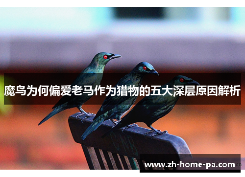 魔鸟为何偏爱老马作为猎物的五大深层原因解析 魔鸟为何偏爱老马作为猎物的五大深层原因解析