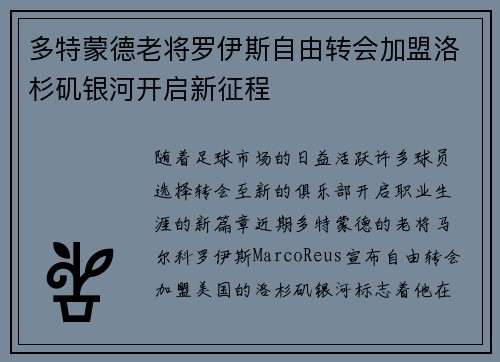 多特蒙德老将罗伊斯自由转会加盟洛杉矶银河开启新征程 多特蒙德老将罗伊斯自由转会加盟洛杉矶银河开启新征程
